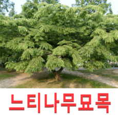 deac26e9b7257655fba85394222abd0d9c57d3dba33b4b68e1ac02c9b1fe.png