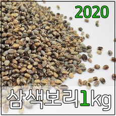 9d3d50e27369752694f8702cfca618be4d23b25828cc8bb3ae3bf696efb9.jpg