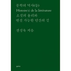 문학의 역사(들)