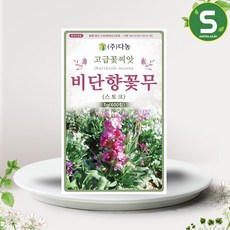 솔림텃밭몰 비단향꽃무씨앗 600립(1g) 비단향꽃무 스토크 꽃씨앗, 1개