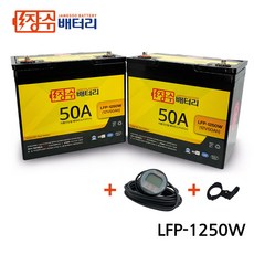 lfp배터리