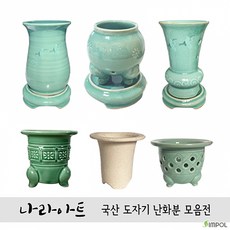 소엽풍란색화