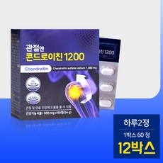 콘드로이친 관절엔 콘드로이친1200, 60정, 54g, 12개