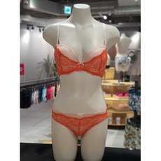 섹시쿠키브라