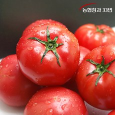 [농협청과33번] 토마토 10kg 5번 (쥬스용), 1개