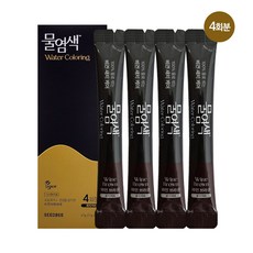 씨드비 물염색 비건 새치 홈쇼핑 동일 김혜수 염색약 와인 브라운 4회분, 1개