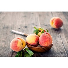 백천황도복숭아