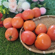 횡성토마토