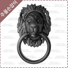 대구현관중문
