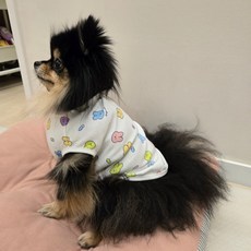 댕댕몰 강아지 잠옷 반려동물 실내복 사계절, 1개, 토끼
