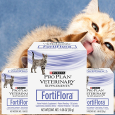  퓨리나 반려묘 고양이 유산균 프로바이오틱스 파우더 가루 분말 30포, 3개 