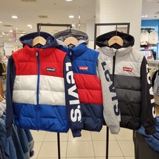 팔멕스텔라후드