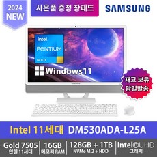 삼성전자 올인원PC DM530ADA-L25A, 128GB, 1TB, 16GB