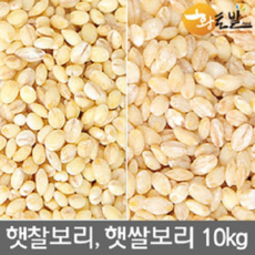 [황토밭푸드] 21년산 국내산 100% 햇 찰보리쌀 4kg-10kg, 1개, 10kg