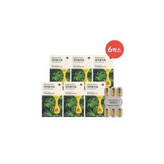 비엘 6박스 황금오일 캐나다 대마종자유 6개월분, 30캡슐, 6개