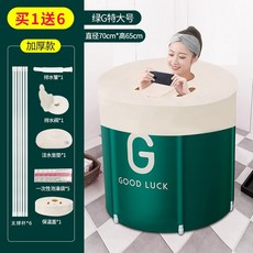 에버조이건식반신욕기