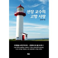 선대인책