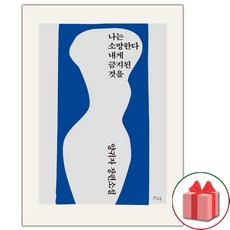 (선물) 나는 소망한다 내게 금지된 것을 소설책