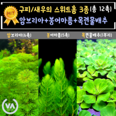 여수한화아쿠아리움