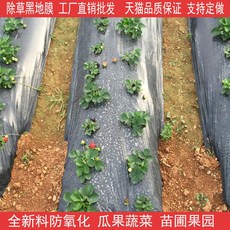 c47cf895761a539a1bfce5e368dc513854e91c27cf25538615c64e63fcb7.jpg