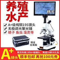 a6255225fc61b7be827ea3c407c36fbce15bba88b7a99b93d5d21cda9a2a.jpeg