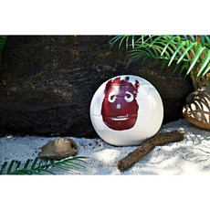 WILSON 윌슨 케스트어웨이 발리볼 cast away volleyball