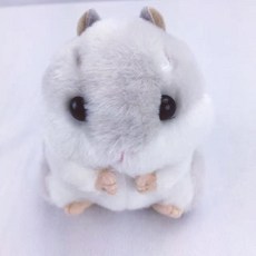어뮤즈인형