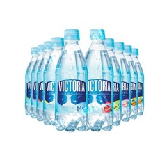 빅토리아 탄산수 500ml*20입 12종 모음, 500ml, 밸런스핏