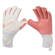 프리커버리모듈러