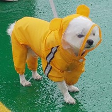 밀로앤개비레인코트
