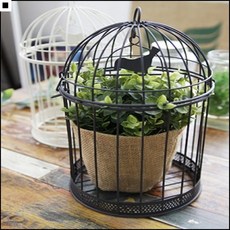 livepro2유니크함을더하는씨앤에이치