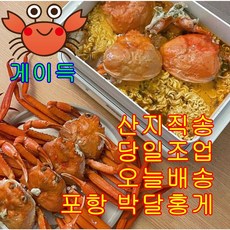 [산지직송] 국내산 포항 게이득 박달홍게 3kg 홍게라면 꽃게탕 육수용, 육수용(50~60%), 7미 (2.5kg), 1개