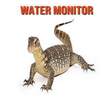 Water Monitor: Fun Facts & Cool Pictures Paperback, Independently Published, English, 9798563083370