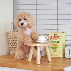페어리테일침대