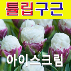 655b8fd730cf99ce486dfd73c920cfd35efde7403ef0f3f120d553952e7c.png