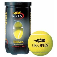 윌슨테니스공2구