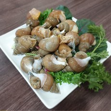 동해안 자연산 활 백골뱅이 1kg 소 (35-45미) (aaa_1338) 단순변심 반품불가, 1세트