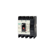 대륙 DBE204NS 배선용차단기.MCCB [DACO], 1개