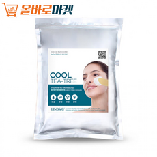 모델링팩티트리