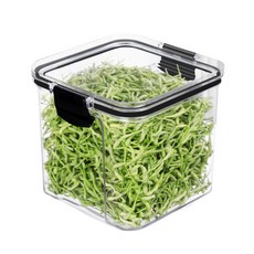소율 금은화 인동초 차 허브티, 3개, 50g