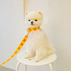 심플베어 곰돌이 강아지목줄, 노랑, 1개