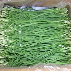 부추 4Kg, 1개