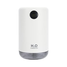 dgh-9899p가열식가습기