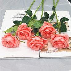 23bb98d79c66d899b086f57155ad8170cbb0737f081dd7910e2e7fc708be.jpg