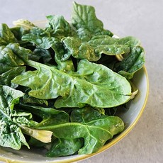 국내산 비금도 섬초 시금치 1kg 2kg 3kg / GM, 01.섬초 1kg, 1개