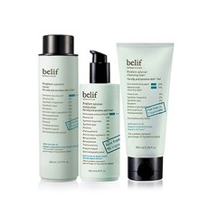 빌리프프라블럼