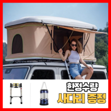 추천1 루프탑텐트