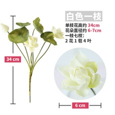 fd36c66da1e42562a268d4050e51ffcddd8b4b49644827cd656425049b0a.jpg