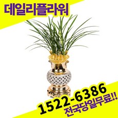 철골소심고급난관엽 TOP01