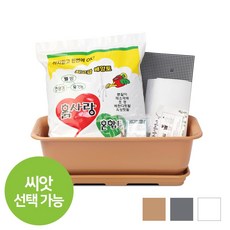 뷰티500텃밭 (8종세트) 씨앗키우기 베란다텃밭 상추, 뷰티500 텃밭세트(화이트)